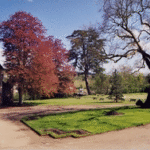 Arbres sur esplanade Arbres sur esplanade