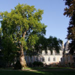 Cour d'honneur Cour d'honneur