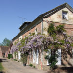Le pavillon sous la glycine Le pavillon sous la glycine