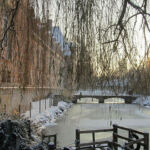 Sous la neige Sous la neige