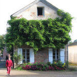 Vue de la cour Vue de la cour