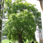 Vue du manoir Vue du manoir