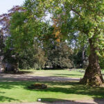 Vue du château Vue du château